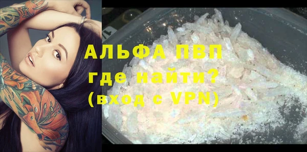 мяу мяу мука Абаза