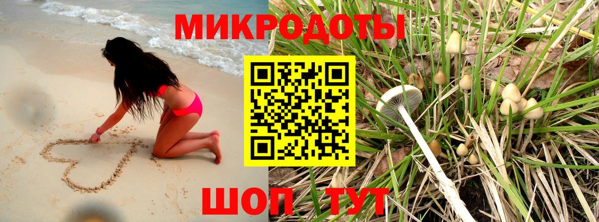 Ржев  Галлюциногенные грибы ЛСД  Вход с VPN 